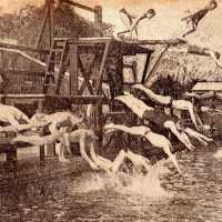 Divers