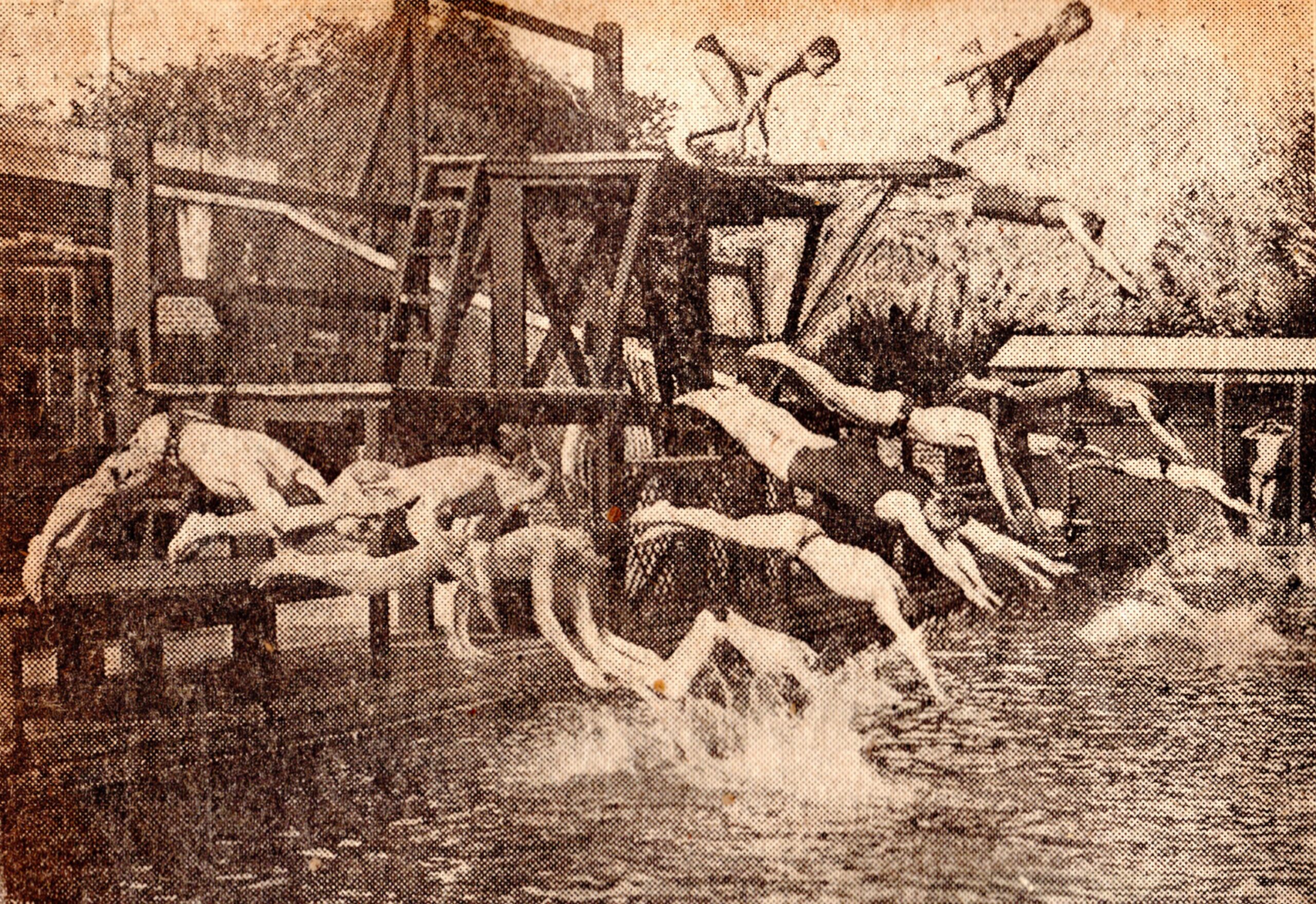 Divers